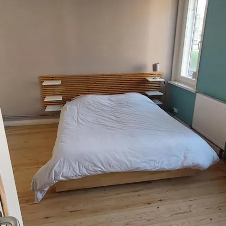 Maison Avec Jardin A Bois Blancs Lille