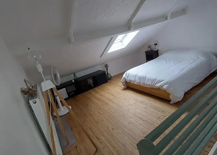 Maison Avec Jardin A Bois Blancs *